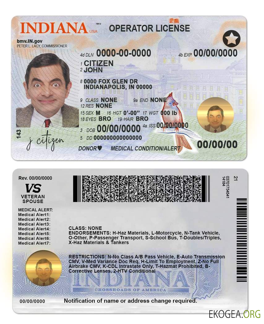 USA Indiana driving (operator) license template in PSD format (2019 – present)